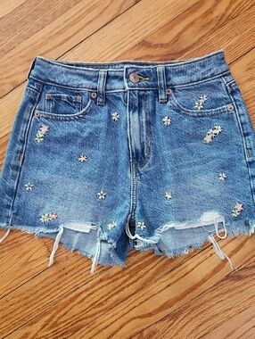 American Eagle Outfitters Blue Embroidered Daisy Jean Shorts Size 000